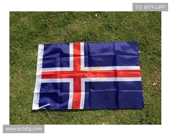 世界杯小旗子世界杯体育论坛