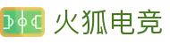 火狐电竞 - 助你从观赛到懂赛的进阶指南